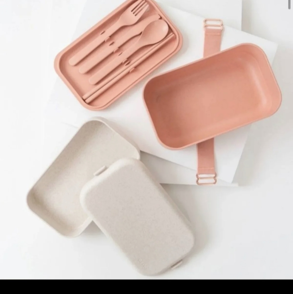 Multisection Lunchbox